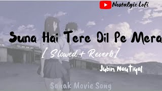 Suna Hai Tere Dil Pe Mera Kahi Na Kahi Naam Likha Hai  Slowed + Reverb | Sanak Movie Song #Lofi Song