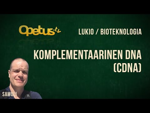 Video: Forskellen Mellem DNA Og CDNA