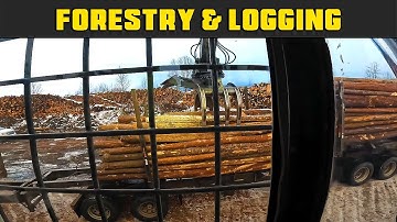 FDR Unloads Pulp Wood From Short Log Trucks - Part 1 - Real Life Forestry & Logging - FDR Logging