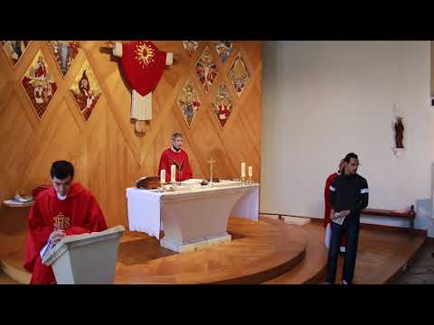 messe-du-dimanche-des-rameaux-et-de-la-passion---dimanche-5-avril-2020