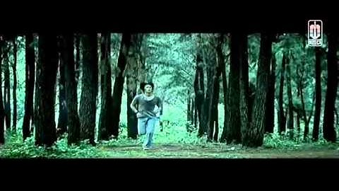 Peterpan   SEMUA TENTANG KITA Official Video 1