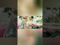 Steals A SenatorтАЩs CorvetteтАж And LAUNCHES It Off A Bridge ЁЯШ ЁЯФе XXx 2002 Steals A SenatorтАЩs CorvetteтАж And LAUNCHES It Off A Bridge ЁЯШ ЁЯФе XXx 2002