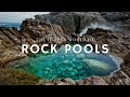 Exploring the Alien World of Rock Pools