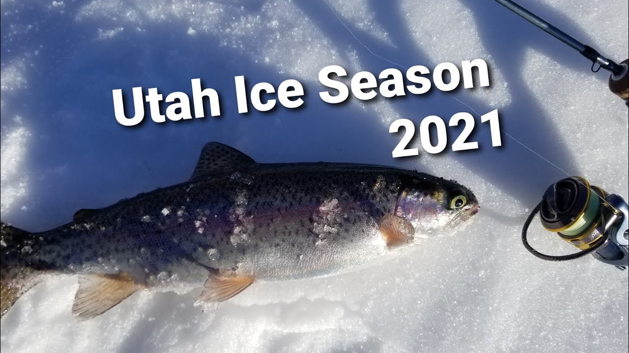 Utah Ice Fishing For Trout Ice Fishing Currant Creek January 2021