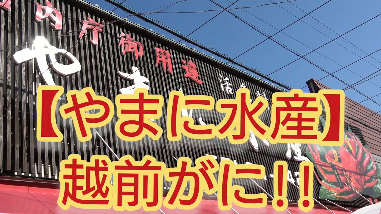 越前がに -サバキあり- 中(0.7kg以上) | 越前蟹の蔵 やまに水産