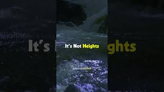 Do You Know My Biggest Fear successstreak shorts fear