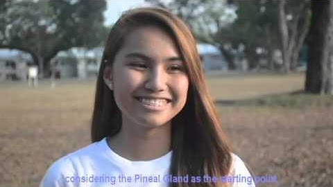 Fibonacci sequence on the Human Internal Anatomy