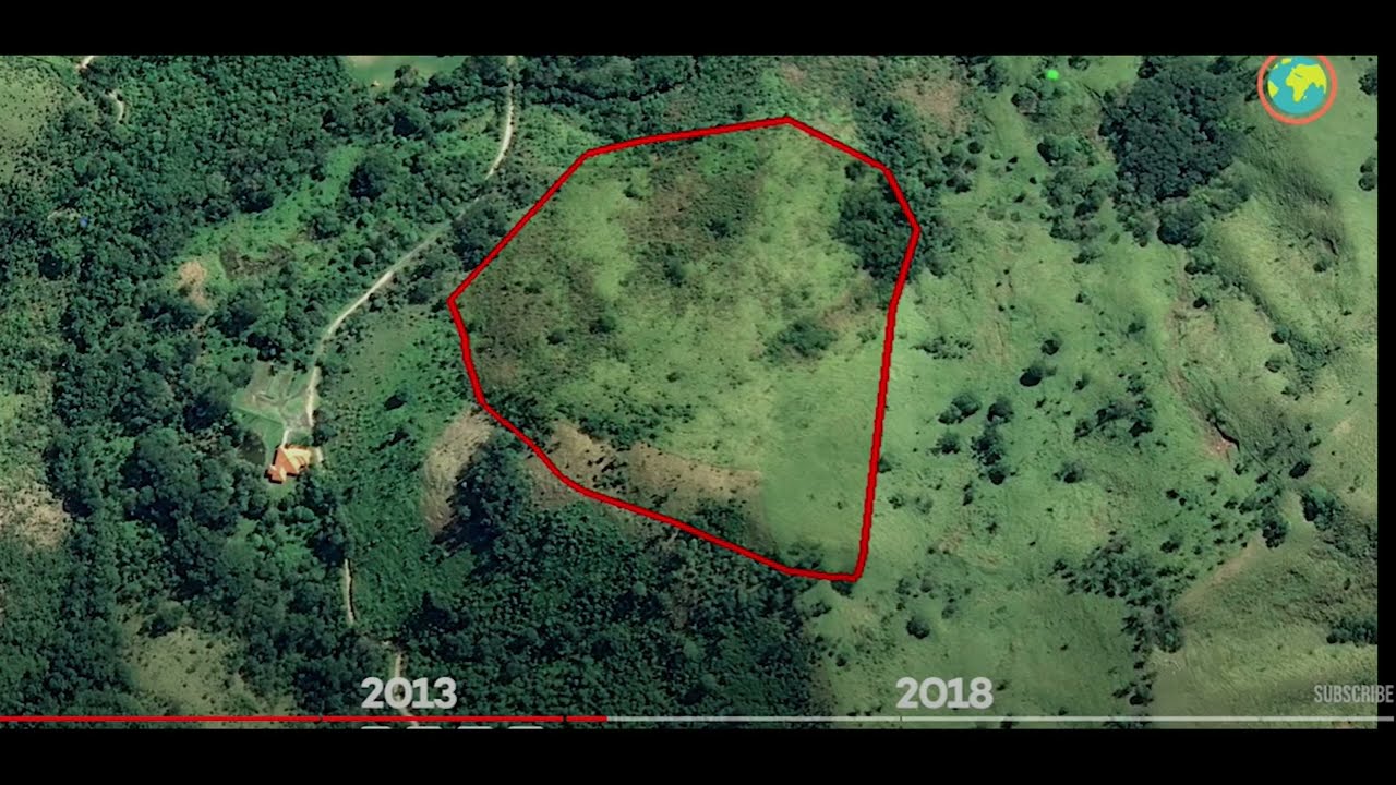 Do trees clean air? Cleaning up a misunderstanding!