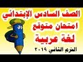 امتحان متوقع ( لغة عربية ) للصف السادس الابتدائي الترم الثاني 2019