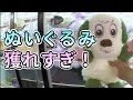 【UFOキャッチャー】絶対獲る!ぬいぐるみ攻略10連発!Claw machine
