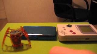 HEXBUG Inchworm