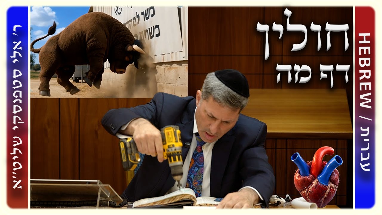 מרכז דף יומי - חולין דף מה. - ר' אלי סטפנסקי שליט"א