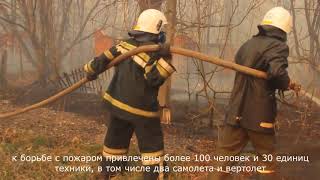 Пожар в Чернобыльской зоне длится восьмой день. Fire in the Chernobyl zone lasts for the eighth day