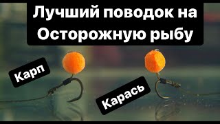 Самый лучший поводок на Карпа и Карася по ВЕСНЕ !