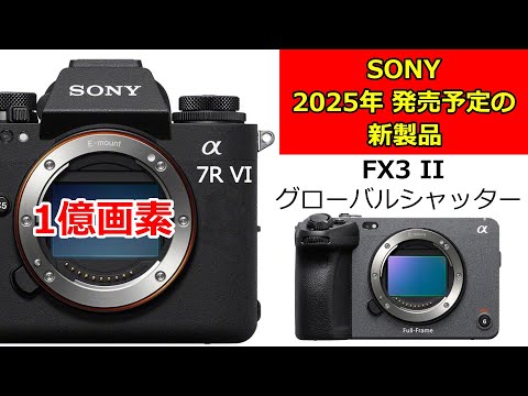 ■極上品■ SONY α7Ⅱ ボディ　ショット数3530枚！ □極上品□ SONY α7Ⅱ ボディ ショット数3530枚！