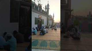 #makhdoom #Ashraf #kichhouchha Sharif ki video #Islamicvideo #baba ❤️🌸🥰 #viral 💚🕋 #Allah #Trending😱