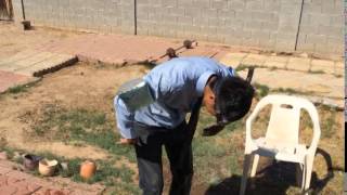 Als Ice Bucket Challenge