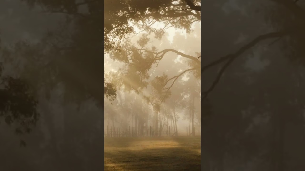 Lo-Fi Jazz Piano | Chill Beats & Keys  