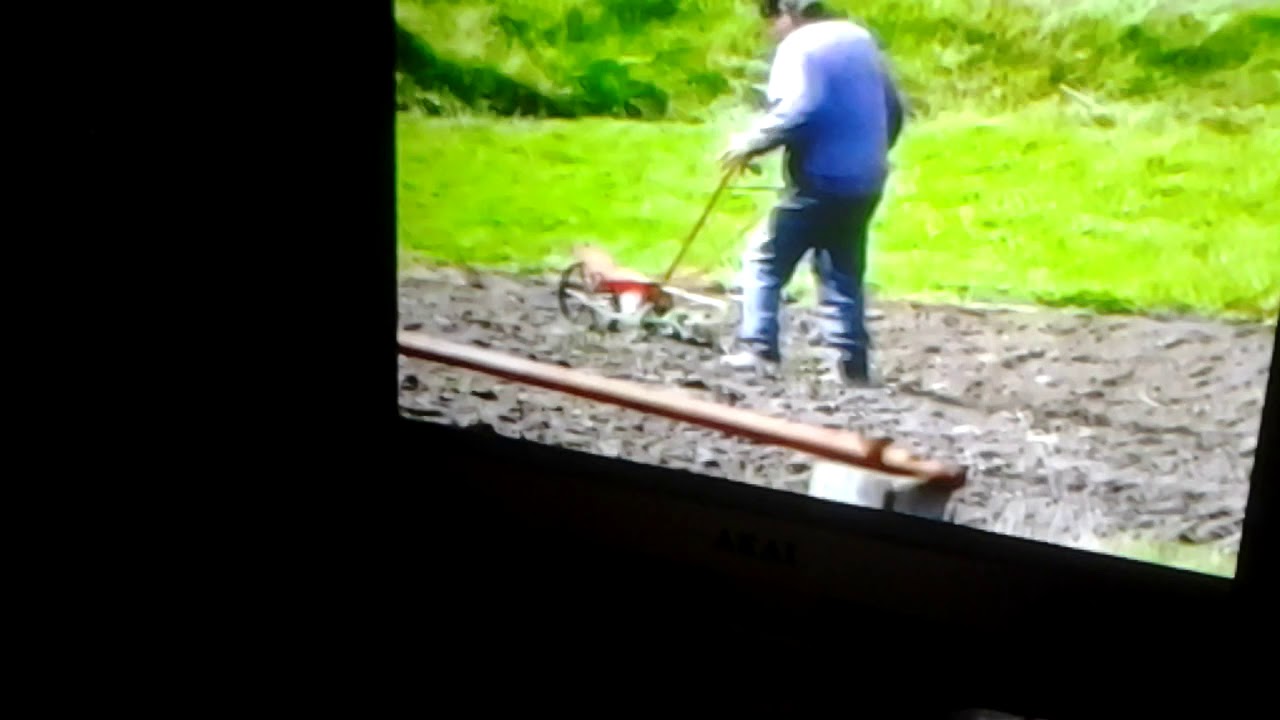 Эм... Что это значит - YouTube