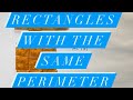 Finding Rectangles with the Same Perimeter and Different Areas