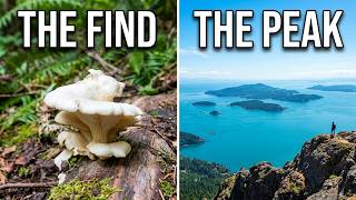 Oyster Mushrooms on a 4K Hike to Anacortes’ Peak