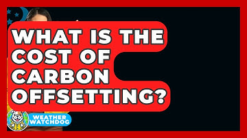 What Is The Cost Of Carbon Offsetting? - Weather Watchdog