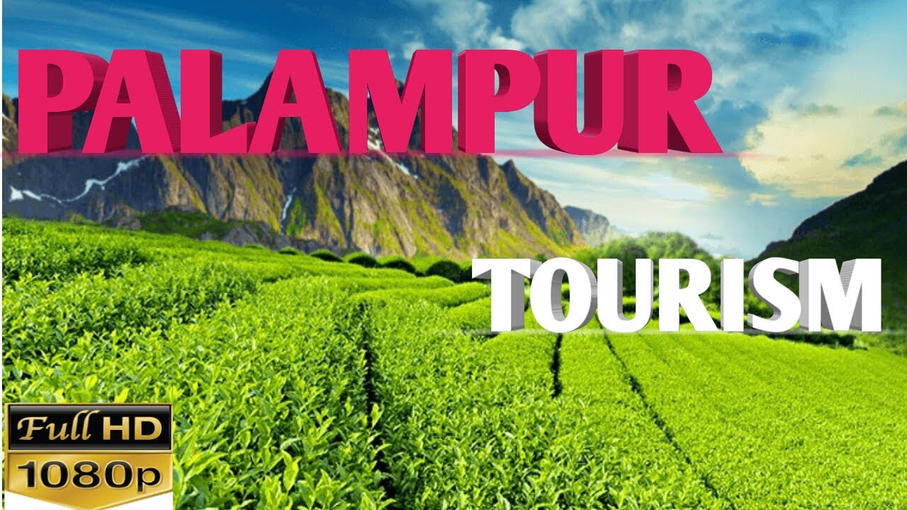Palampur Top 10 Tourist Place |Himachal Pradesh tour| Hindi Video