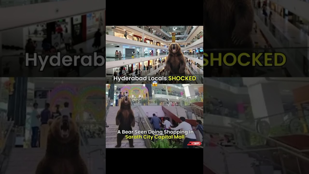Shoppers at Sarath City Mall couldn’t believe their eyes 🐻😱@bearhouseindia