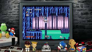 Tiny Toon Adventures - Busters Hidden Treasure