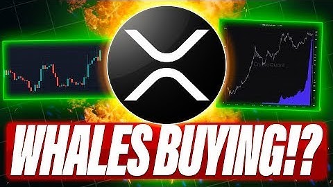 WALVISSEN LADEN ZICH OP MET XRP - SOL-PRIJS VS. XRP-PRIJS - 20 XRP ETF