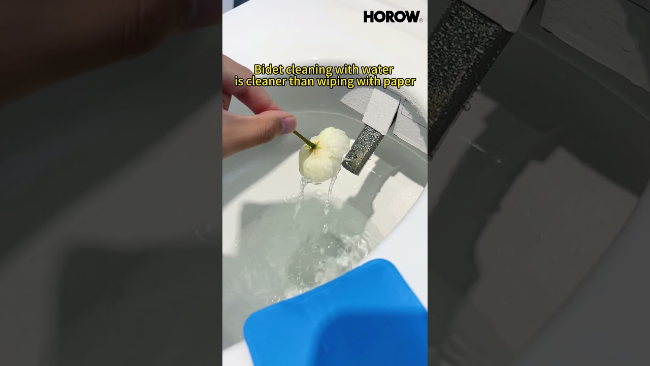HOROW Smart Toilet with Bidet Wash Function  