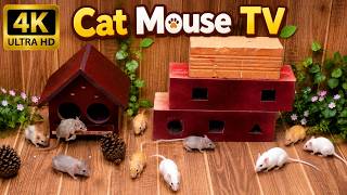 Realistic Mouse Hide & Seek for Cats 🐭 | Best Cat Hunting Game in 4K Cat Games Hunt 🐈
