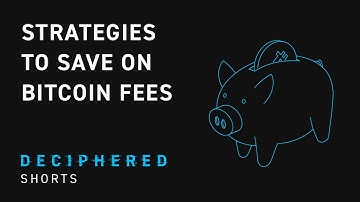 Fee Strategies to Lower Bitcoin Transaction Costs