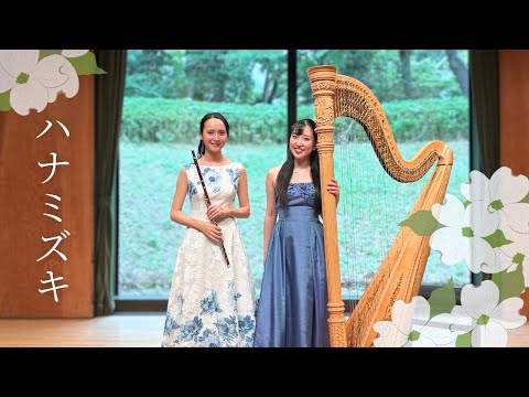 一青窈 / ハナミズキ
