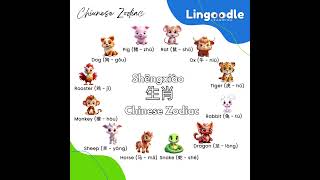 12 Animals of the Chinese Zodiac | 生肖 | Shēngxiào - What Chinese Zodiac animal are you?