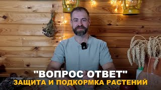 :  "-":          .
