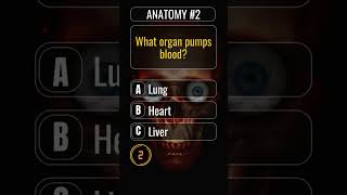Human Anatomy Quiz Test Your Body Knowledge Organs, Bones, Muscles, Systems