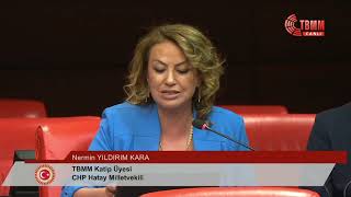 Nermin Yildirim Kara - 104. Birleşim 283