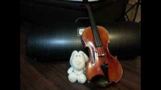 Video thumbnail of "Appassionata (by Secret Garden).wmv"