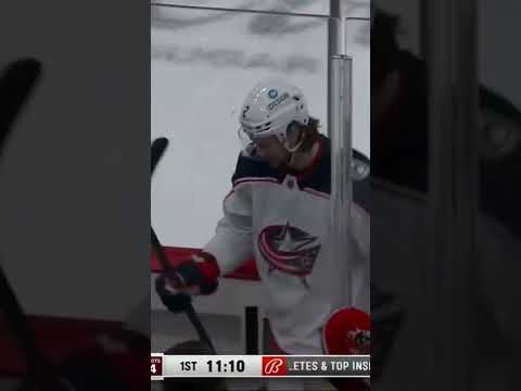 NHL Referee Funny