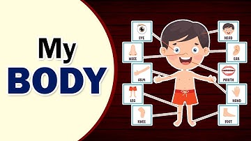 Class 1 | My Body | EVS | English Medium | Maharashtra Board