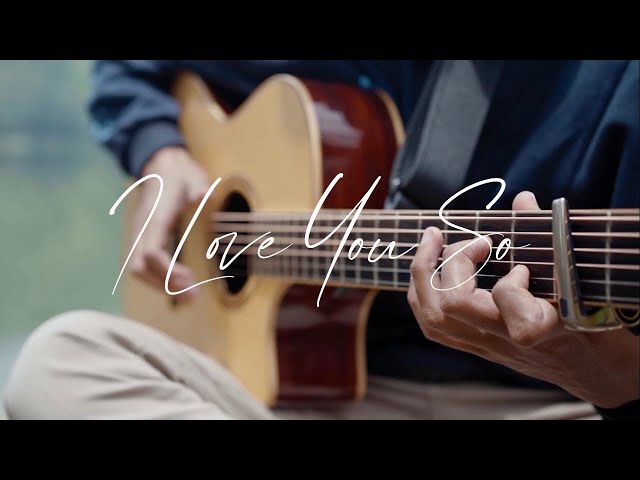 I Love You So - The Walters (fingerstyle guitar) class=
