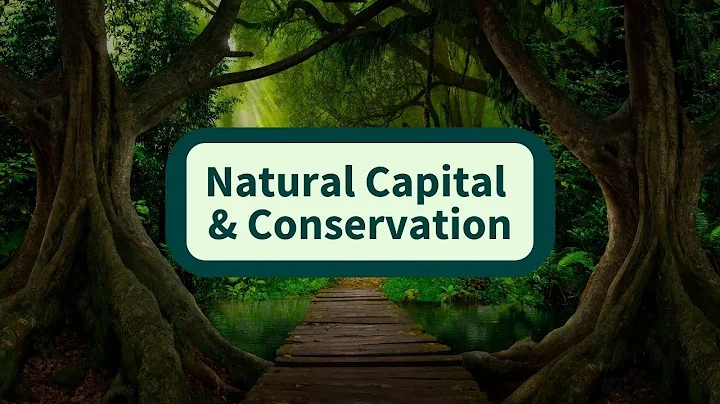 Focus on: Natural Capital and Conservation