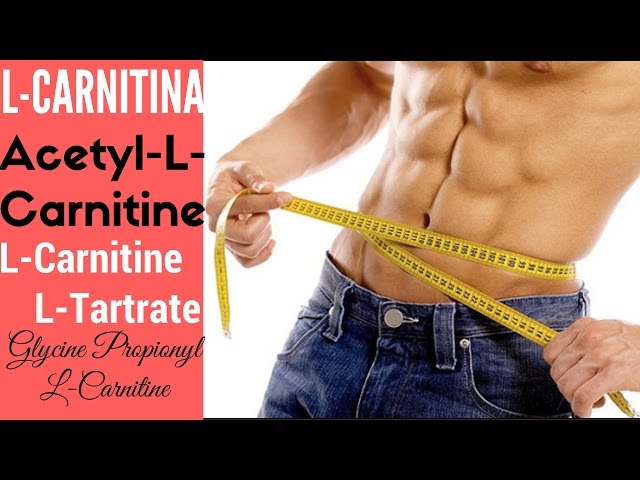 l'carnitina cuando tomar L Carnitina - Para Qu Sirve? Beneficios Y Usos