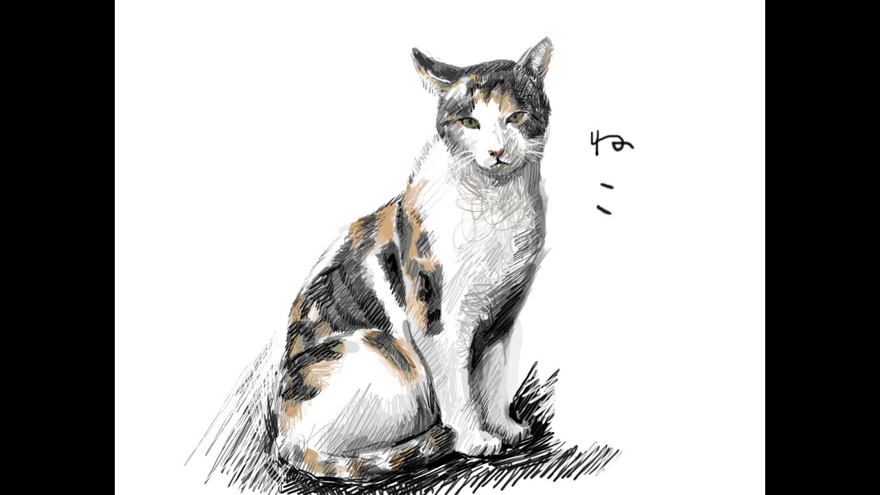 猫の絵を描く Drawing A Cat Youtube