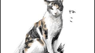 猫の絵を描く Drawing A Cat Youtube