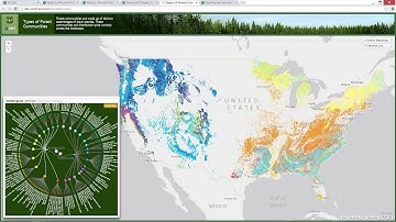 WebGIS Platform for Forestry