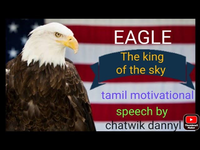 Eagle-🦅-Tamil motivational speech by chatwik dannyl class=