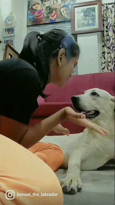 #shorts #terinaar |Raaina The YouTuber | video with Bonsai