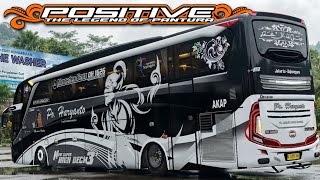 Po Haryanto 117 Positive. Livery Bussid SHD Ori. screenshot 5